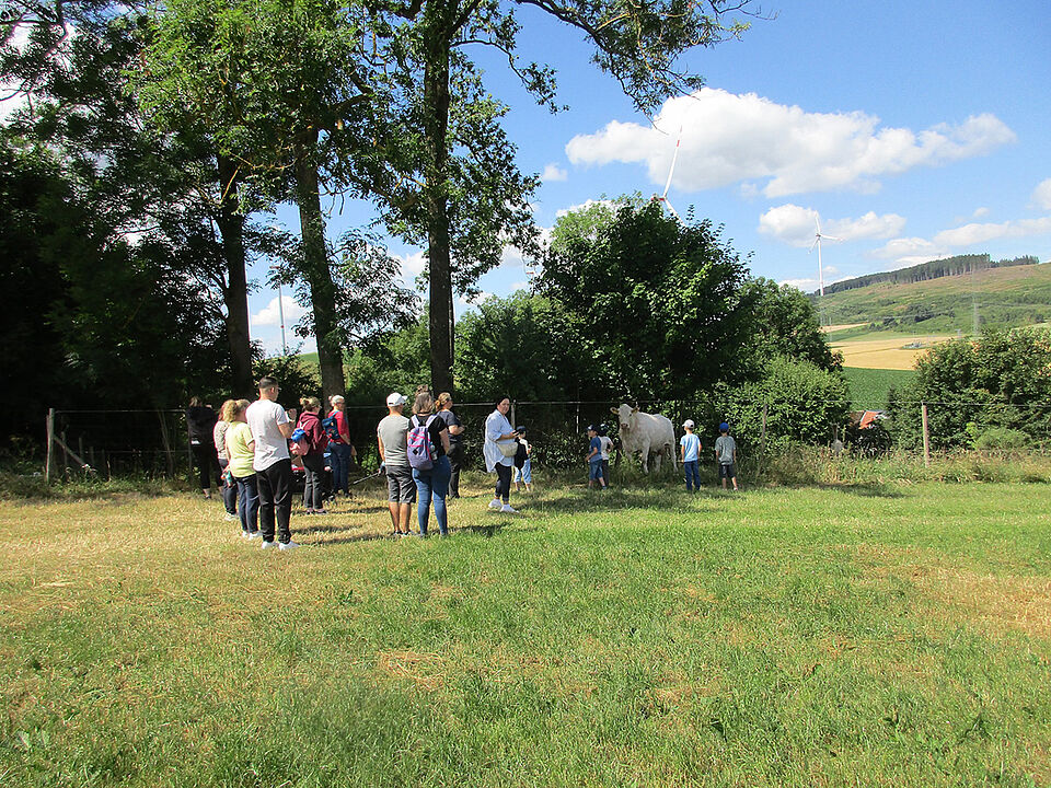 Eltern und Kinder stehen mit einer Kuh auf der Weide, die Sonne scheint.